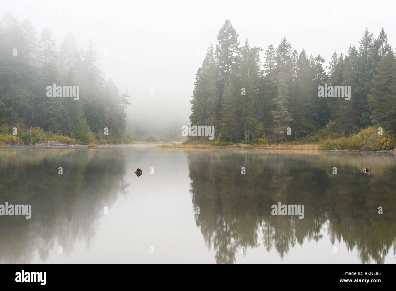 Spektakel See auf einem Moody misty morning, Spektakel Lake Provincial Park, British Columbia, Kanada. Stockfoto