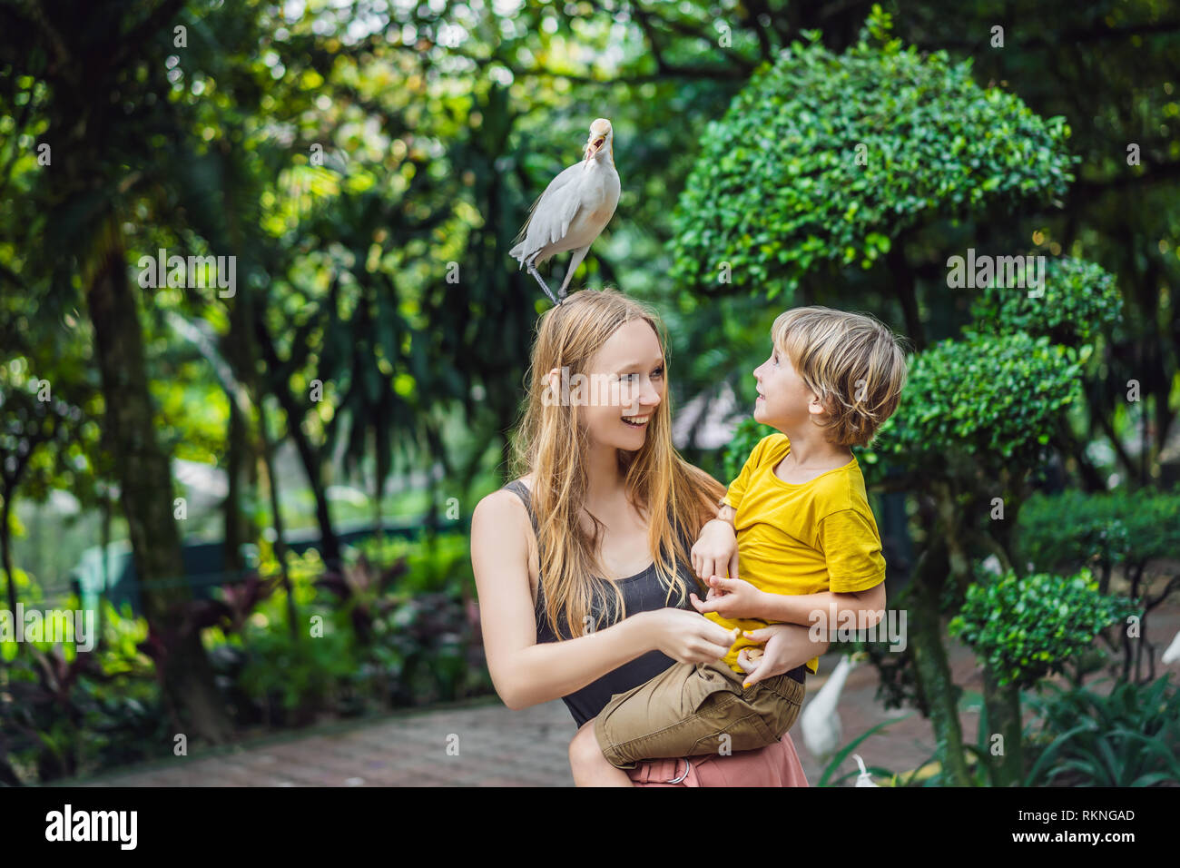 Mutter und Sohn Fütterung ibes im Park. Kleiner Reiher Kuhreiher Bubulcus ibis Waters Edge. Familie verbringt Zeit im Park zusammen Stockfoto