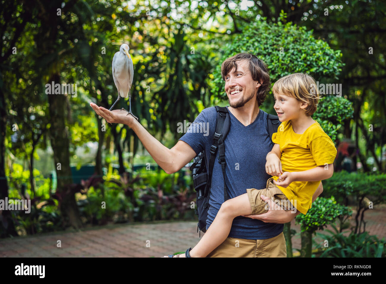 Vater und Sohn Fütterung ibes im Park. Kleiner Reiher Kuhreiher Bubulcus ibis Waters Edge. Familie verbringt Zeit im Park zusammen Stockfoto