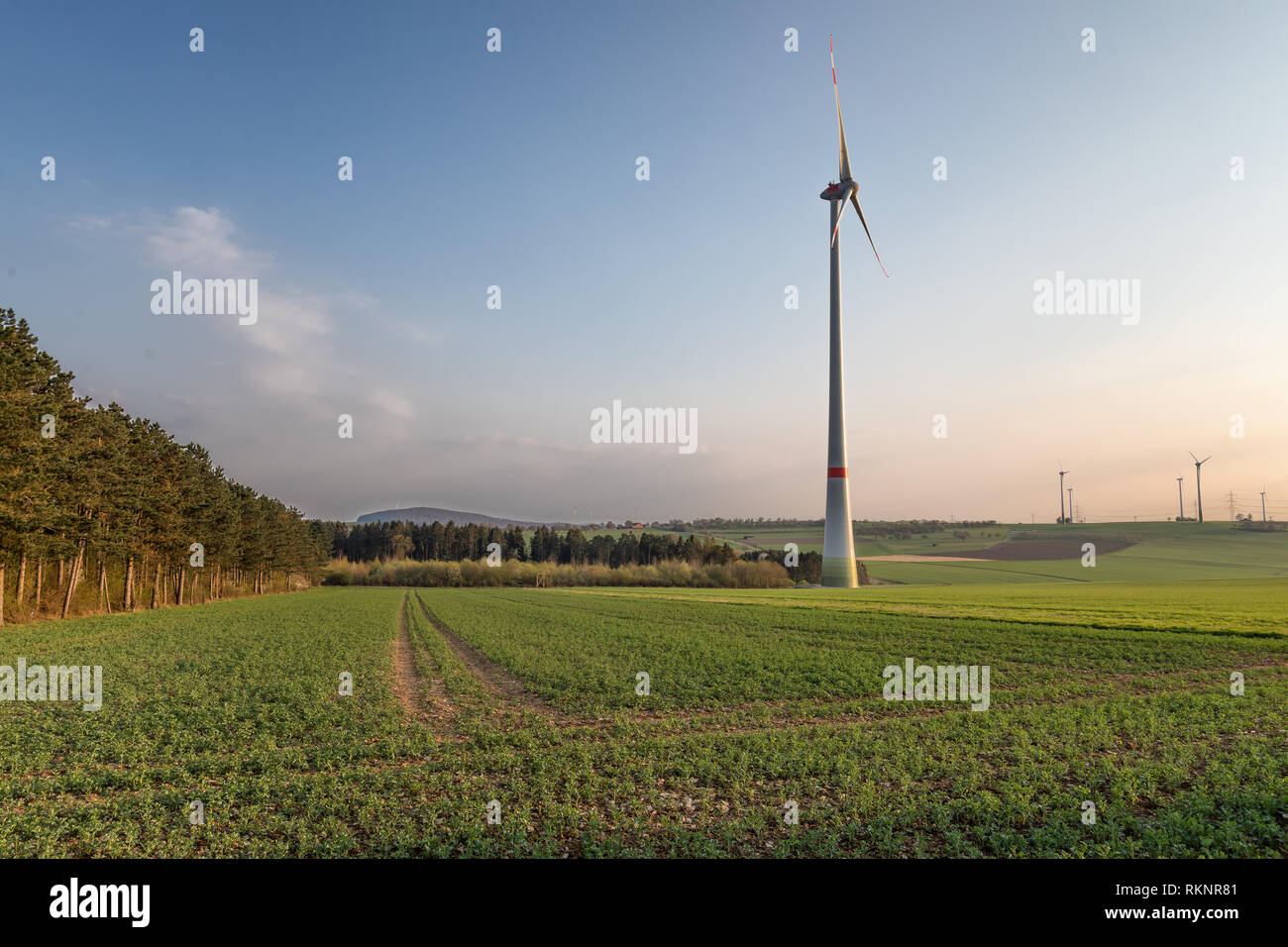 Windenergieanlage am Rande der Wälder Stockfoto
