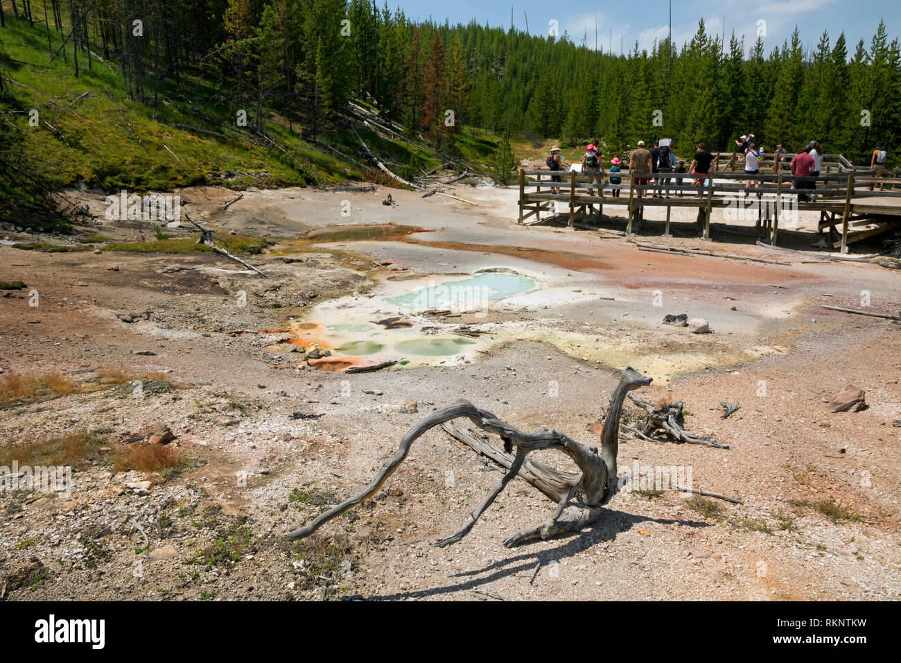 WY 03447-00 ... WYOMING - Boardwalk an Artist Farbtöpfe mit Blick auf Schlamm Töpfen auf Paint Pot Hill im Yellowstone National Park. Stockfoto