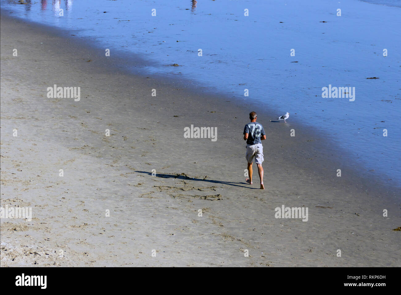 Hombre ejercitandose en la playa, Santa Monica, Kalifornien Stockfoto