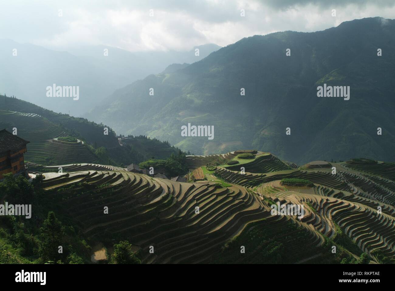 Ein Teil der spektakulären Longji - der reisterrassen am Ping'an, Longshen County. Schneiden Sie die Konturen des Landes und von m betrieben Stockfoto