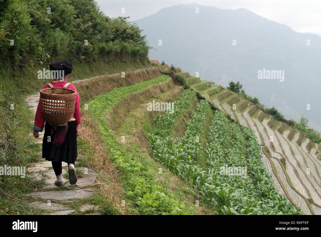 Ein zhuang Frau Spaziergänge entlang der spektakulären Longji - der reisterrassen am Ping'an, Longshen County. Schneiden Sie die Konturen der Stockfoto