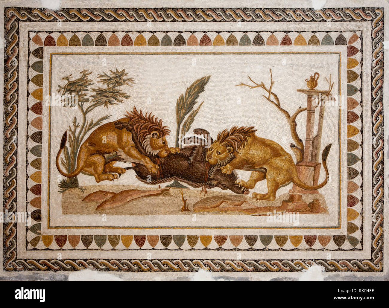 Löwen verschlingen ein Wildschwein. Mosaik in El Jem Museum von Mitte 2 c.A.D Stockfoto