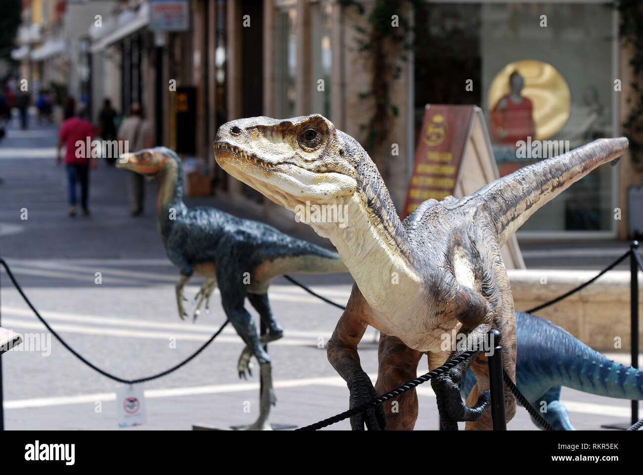 Dinosaurier zu Fuß rund um die Stadt im Maßstab 1:1 Reproduktion Dinosaurier velocirator in Cosenza Stadt Kalabrien Italien 2018 ausgesetzt Stockfoto