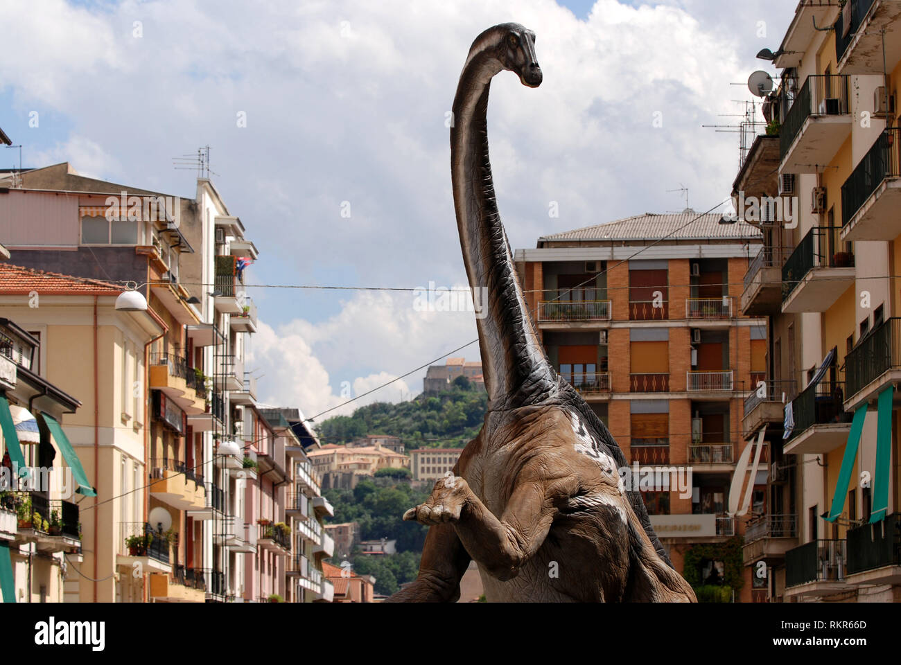Dinosaurier zu Fuß rund um die Stadt im Maßstab 1:1 Reproduktion Dinosaurier diplodocus Longus in Cosenza Stadt Kalabrien Italien 2018 ausgesetzt Stockfoto