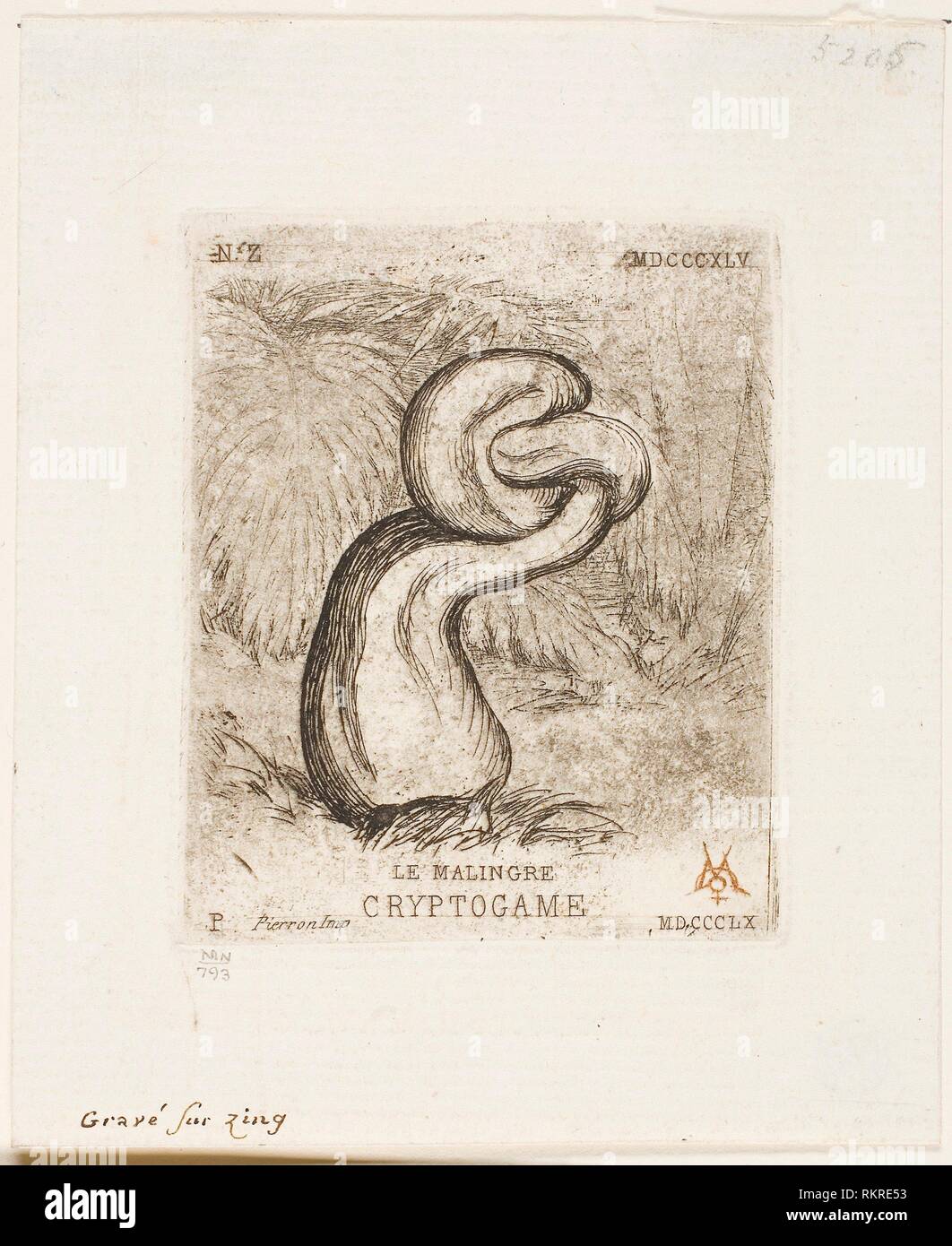 Die kränklich Cryptogam - 1860 - Charles Meryon (Französisch, 1821-1868) gedruckt von pierron (Französisch, 19. Jahrhundert) - Künstler: Charles Meryon, Herkunft: Frankreich, Stockfoto