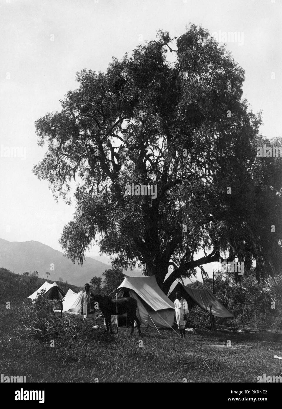 Afrika, Eritrea, Lager, 1920-30 Stockfoto
