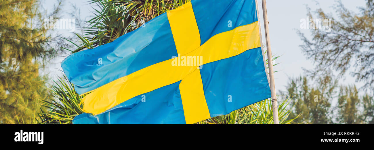 Flagge Schwedens vor dem Hintergrund der Palmen BANNER, lange Format Stockfoto