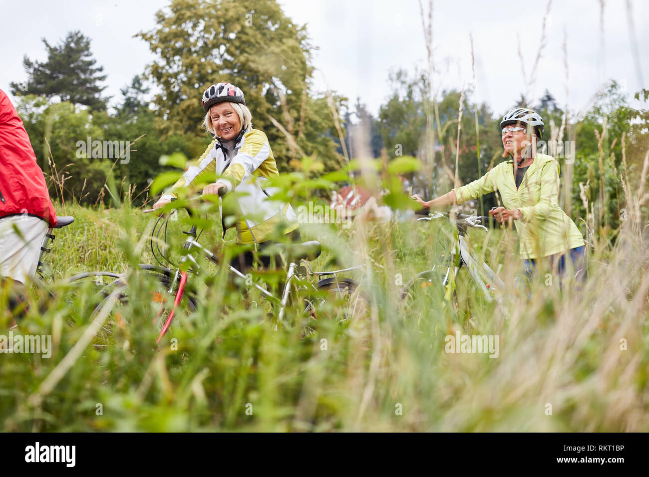Gruppe von Senioren Radfahren in der Natur auf dem Fahrrad oder mit dem Fahrrad Stockfoto