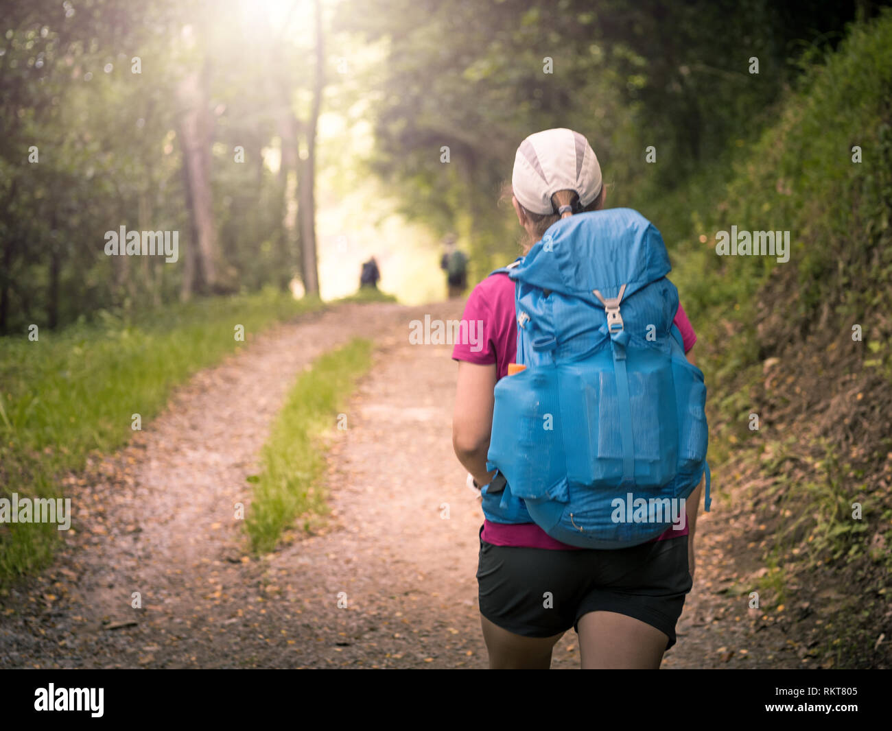 Mädchen mit Rucksack reisen entlang Wald in Camino de Santiago Stockfoto