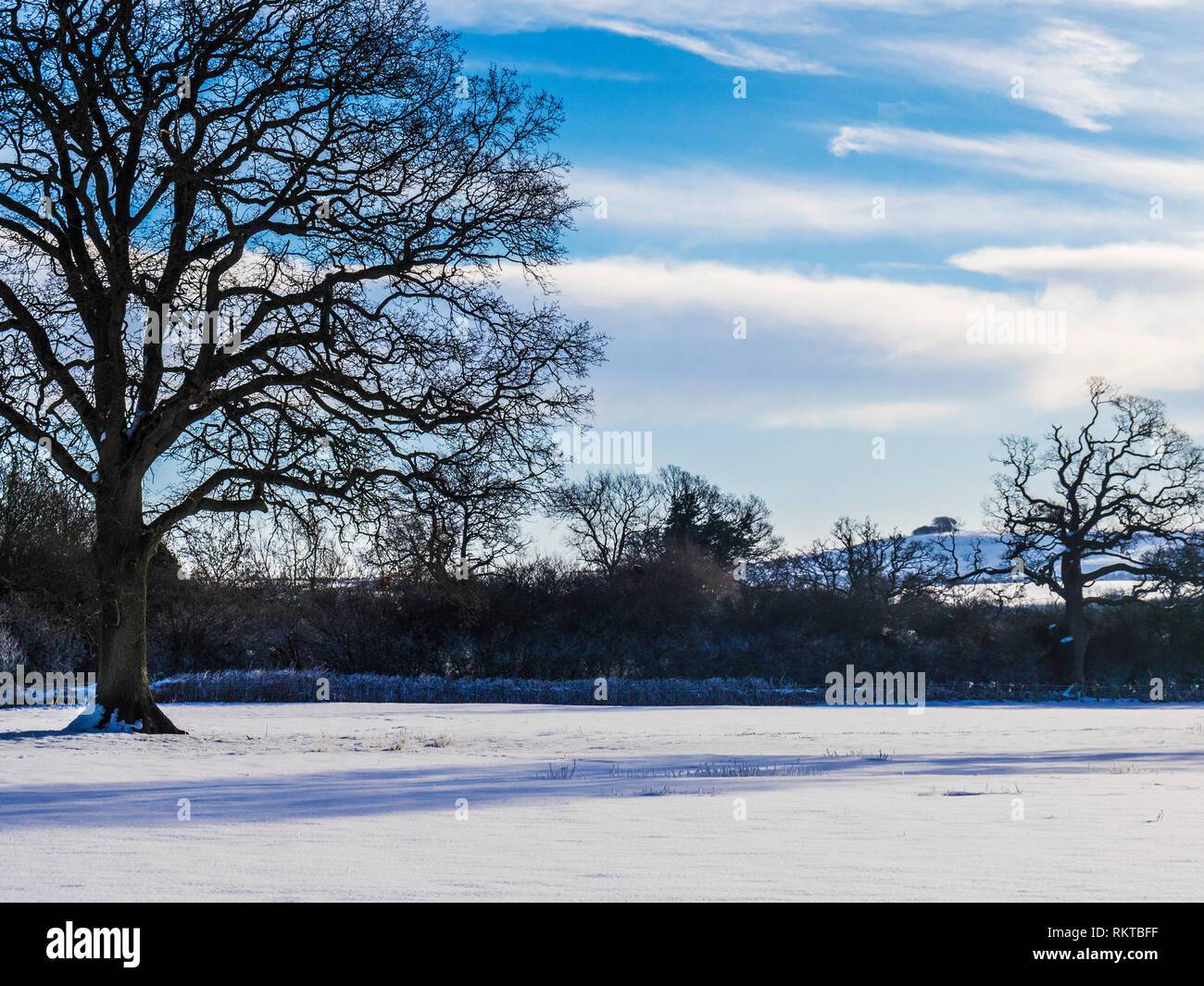 Der schneereiche Winter Tag in die Landschaft von Wiltshire. Stockfoto