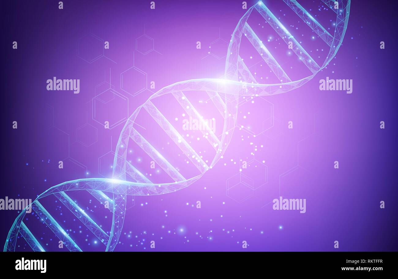 Drahtmodell DNA-Moleküle Struktur mesh Low Poly bestehend aus Punkten, Linien und Formen auf dunkel lila Hintergrund. Wissenschaft und Technologie Konzept Stock Vektor