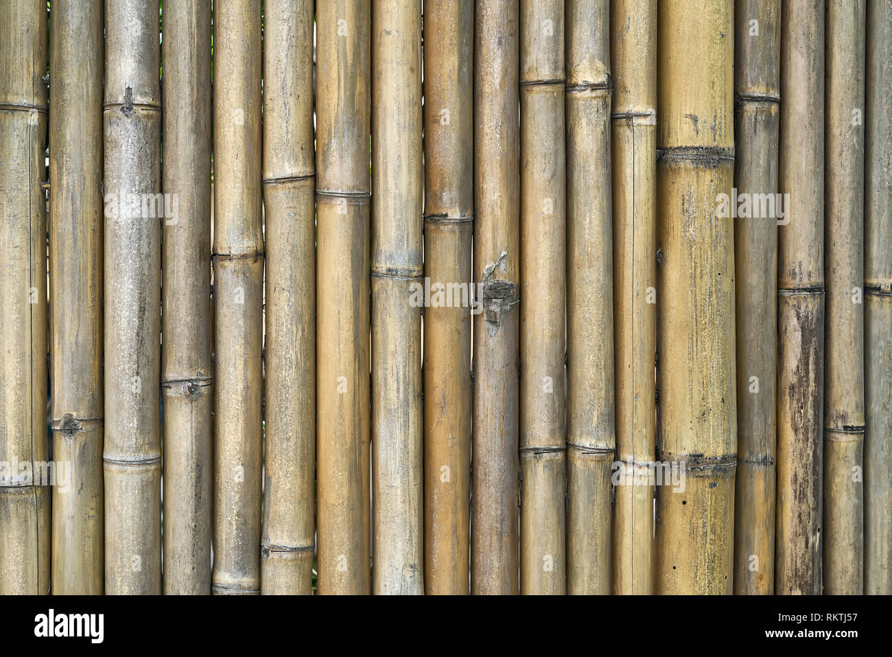 Asiatische traditionelle Bambus Wand aus vertikalen Amtsleitungen Stockfoto