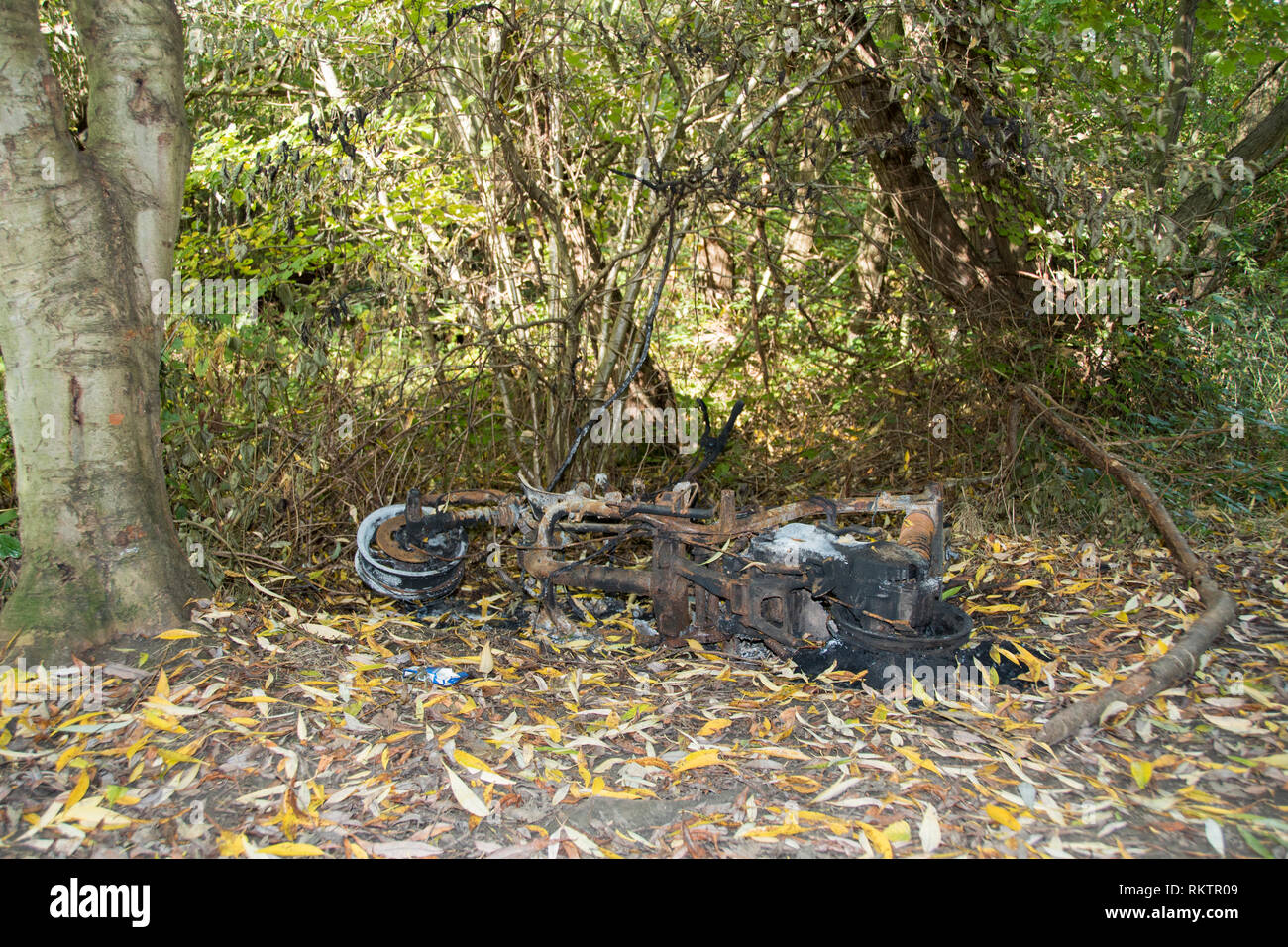 Sheffield, UK: 20.Oktober 2016: Eine ausgebrannte rostigen alten Moped in den Wäldern neben dem Waldweg, wo es in Brand gesetzt wurde aufgegeben, im Woodthorpe Schlucht Stockfoto