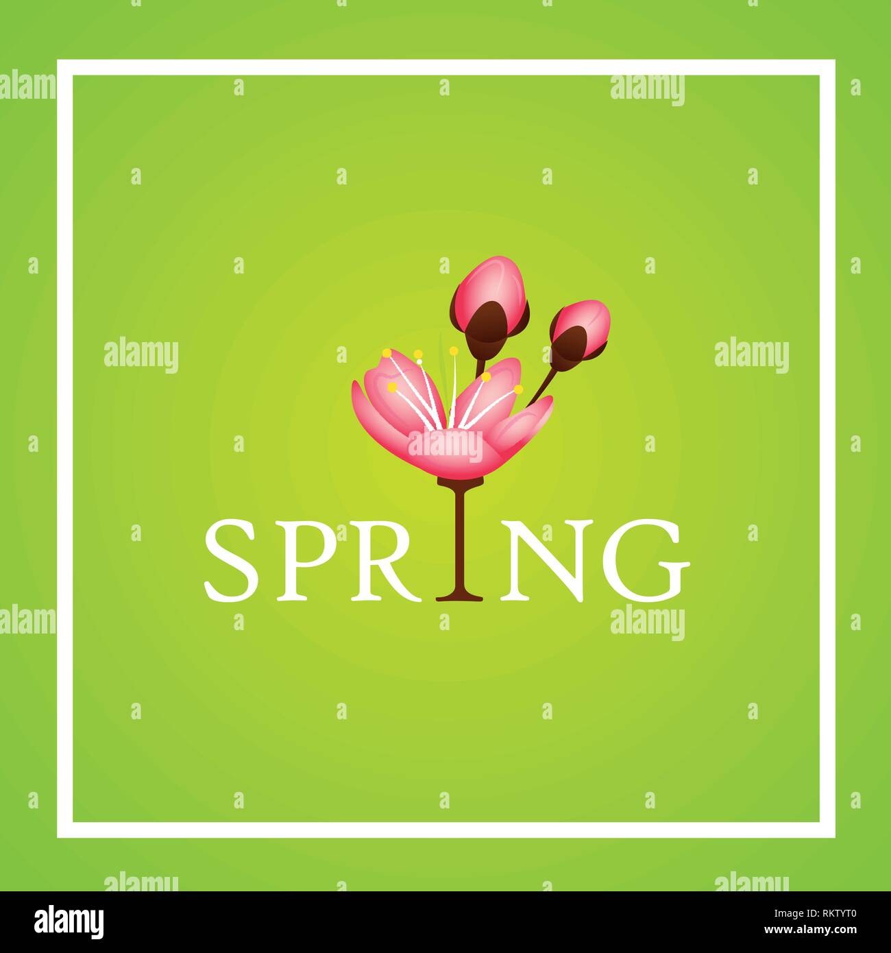 Feder Typografie mit Cherry blühenden Blumen rosa Blütenblätter Vektor-illustration EPS 10. Stock Vektor