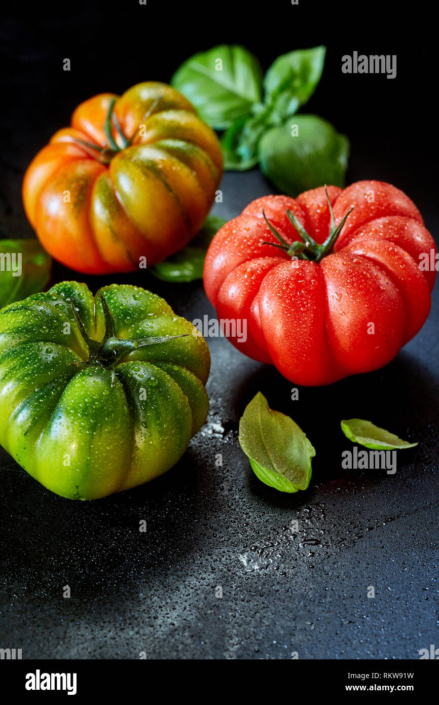 Drei gesunde Nass gewaschen frischen Tomaten in Rot, Grün und Orange mit Kopie Raum und Basilikum auf eine dunkle Oberfläche mit Wassertropfen Stockfoto