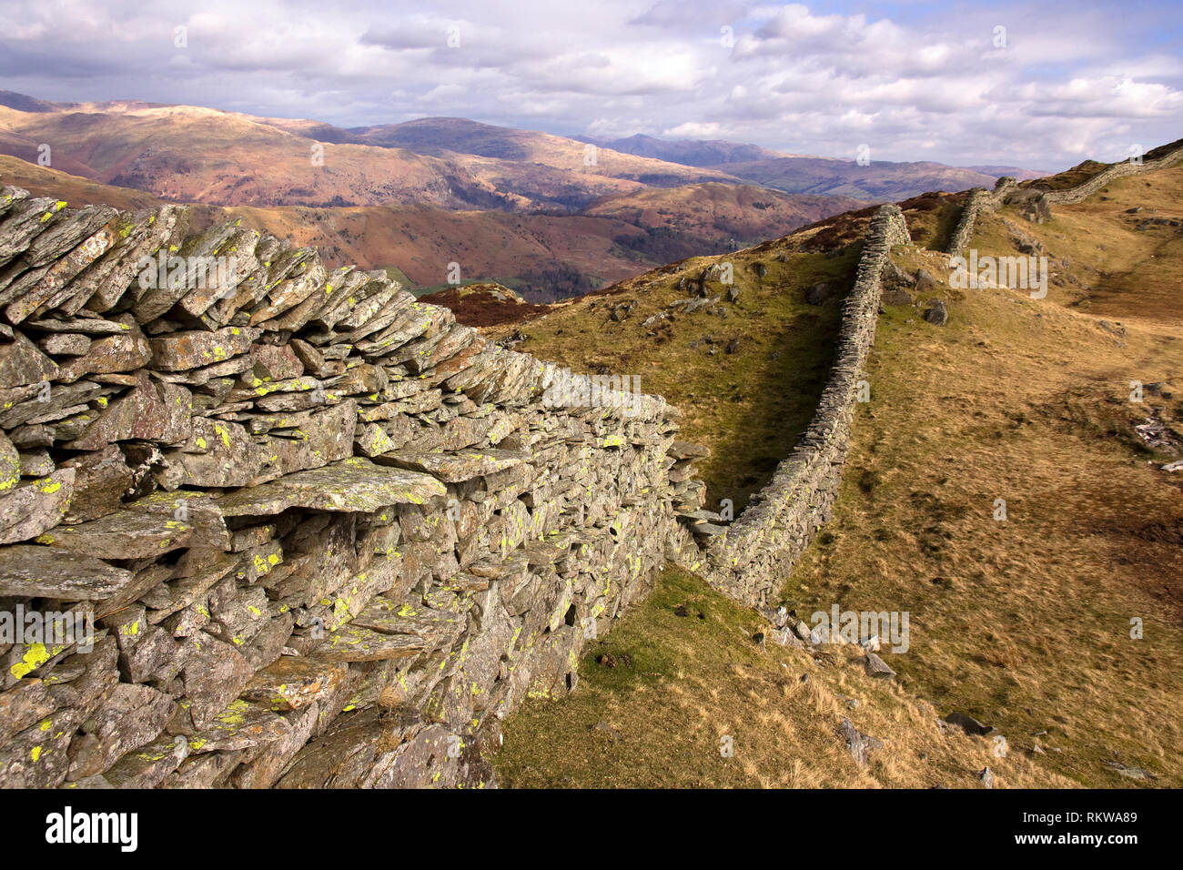 Lange gewundene, trockene Steinmauer nach den Ufern von Lingmoor Fell, Langdale, Lake District, Cumbria, England, UK Stockfoto