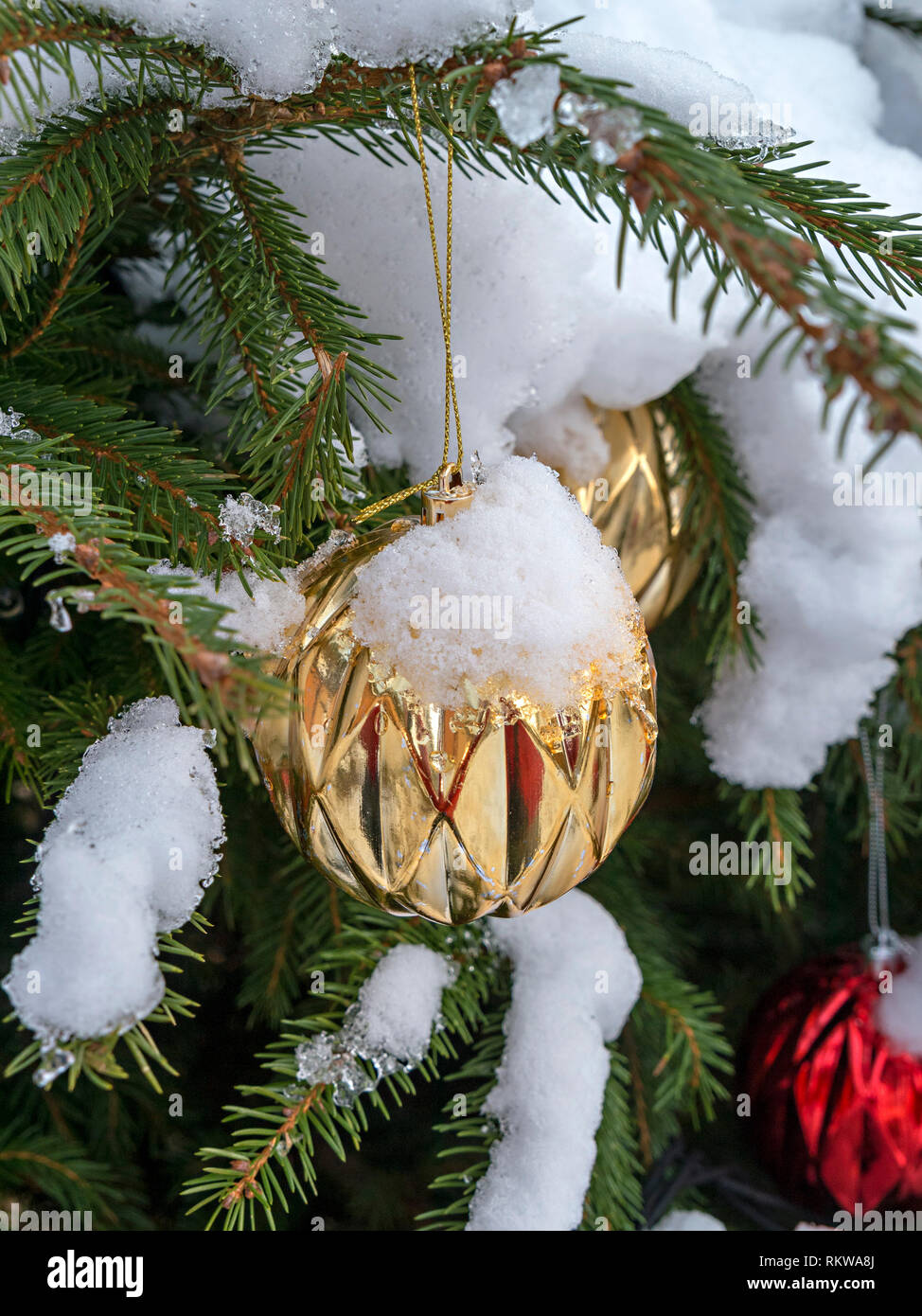 Nahaufnahme von Schnee bedeckt Weihnachtskugel Dekorationen auf einen Weihnachtsbaum. Stockfoto
