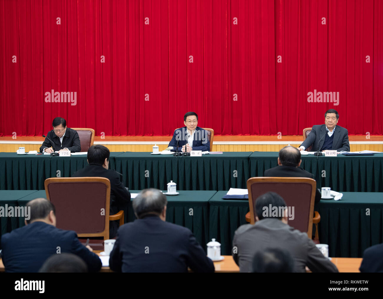 (190212) - Peking, Februar 12, 2019 (Xinhua) - Chinesische Vice Premier Han Zheng (C), ebenfalls Mitglied des Ständigen Ausschusses des Politbüros der Kommunistischen Partei Chinas Zentralausschuss, leitet ein Symposium nach einer Inspektion der Nationalen Kommission für Entwicklung und Reform am 12.02.2019. (Xinhua / Shen-Hong) Stockfoto