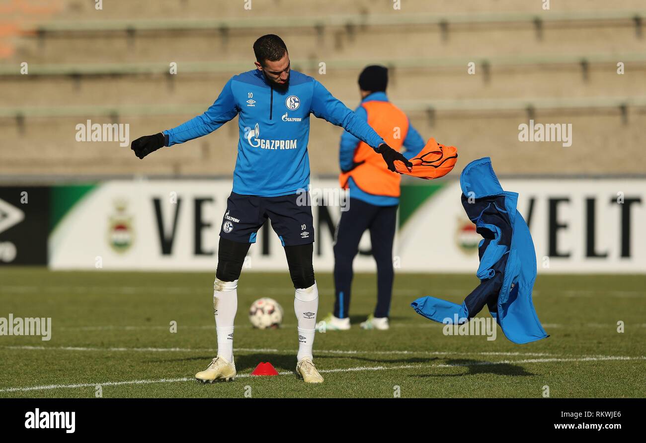 Firo: 12.02.2019, Fußball, 1.Bundesliga, Saison 2018/2019, FC Schalke 04, Ausbildung, BENTALEB | Verwendung weltweit Stockfoto