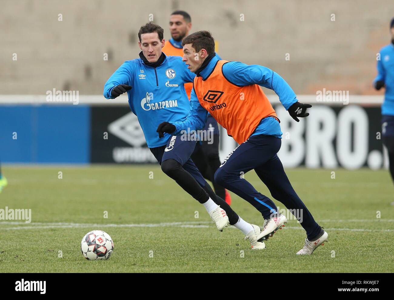 Firo: 12.02.2019, Fußball, 1.Bundesliga, Saison 2018/2019, FC Schalke 04, Ausbildung, Rudy, GOLLER | Verwendung weltweit Stockfoto