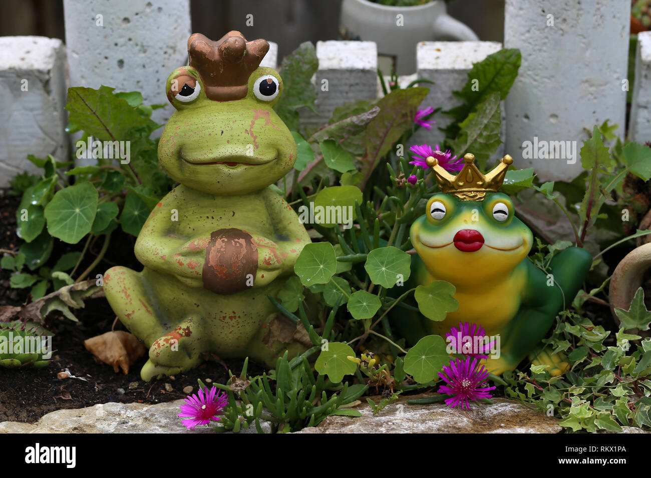 Froschkönig karikatur Fotos und Bildmaterial in hoher Auflösung Alamy