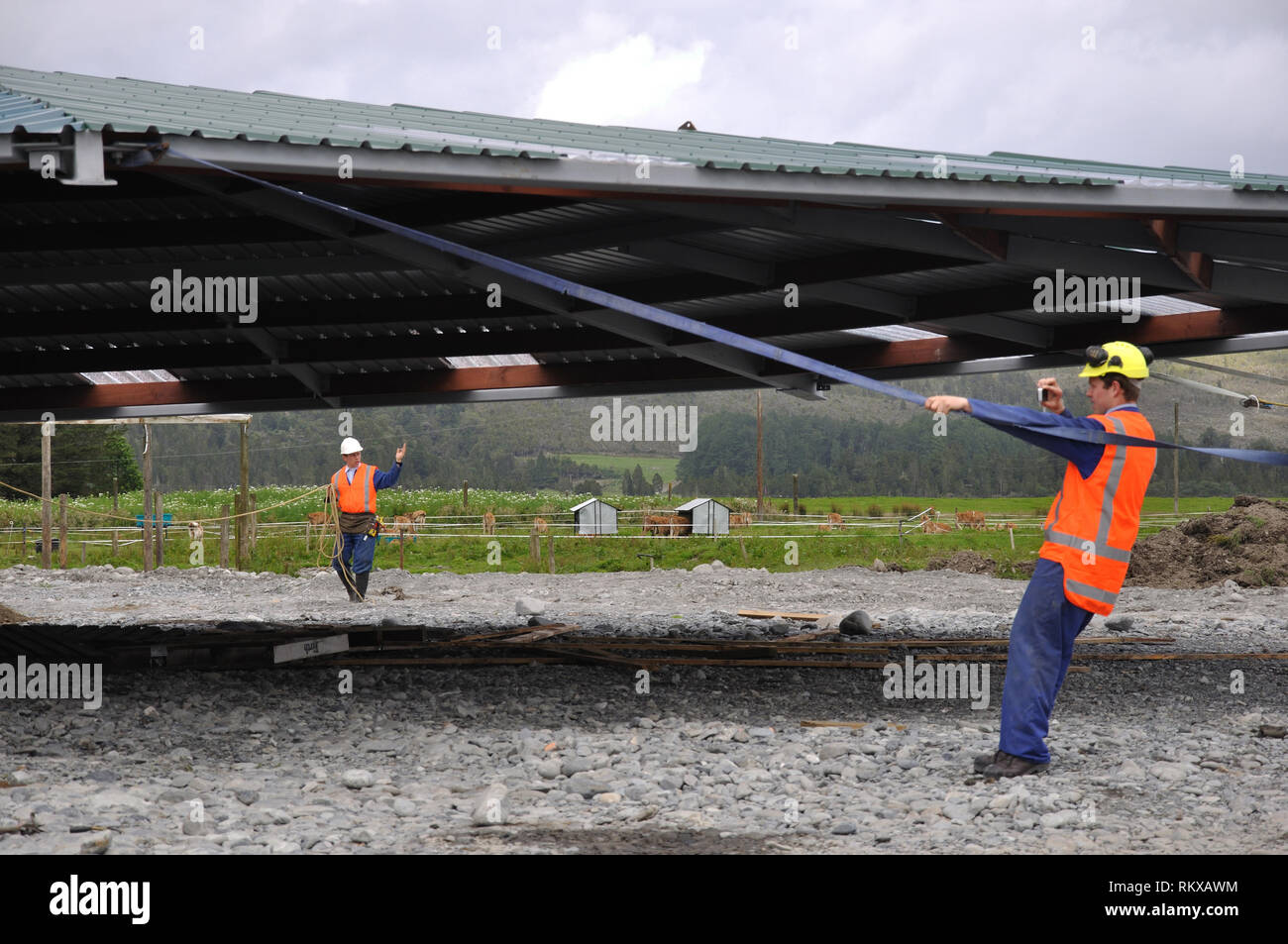 Erbauer Position das Dach, da es auf eine neue Molkerei, Westland, Neuseeland angehoben wird Stockfoto
