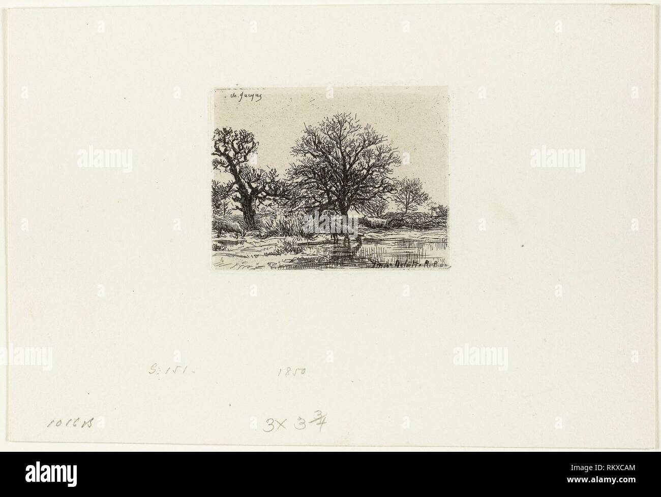 Bäume und Kühe in der Nähe von einem Teich 1850 Charles Émile