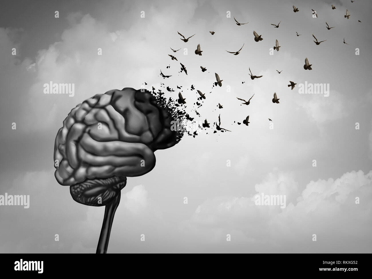 Schädigung des Gehirns und der zerebralen Schädigung oder kognitive Funktion Verlust durch dimentia wie Alzheimer Krankheit als Neurologie psychische Gesundheit Konzept. Stockfoto