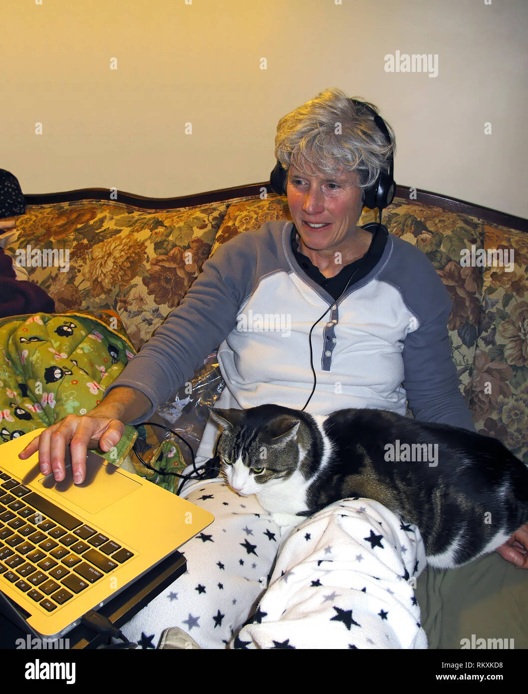 Frau, Arbeiten, Laptop; Katze auf dem Schoß; Kopfhörer; Schulprojekt; PET; Begleitung; Katzen; Tier, vertikal; HERR; PR Stockfoto