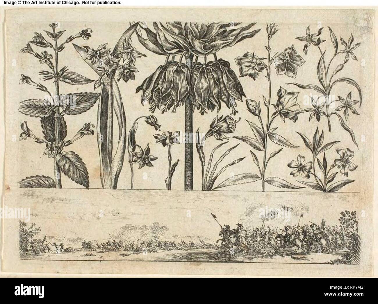 Blumen und Kampf, von Livre Nouveau de Fleurs Tres-Util - 1645 - Nicolas Cochin (Französisch, 1610-1686) veröffentlicht von Balthasar Moncornet Stockfoto