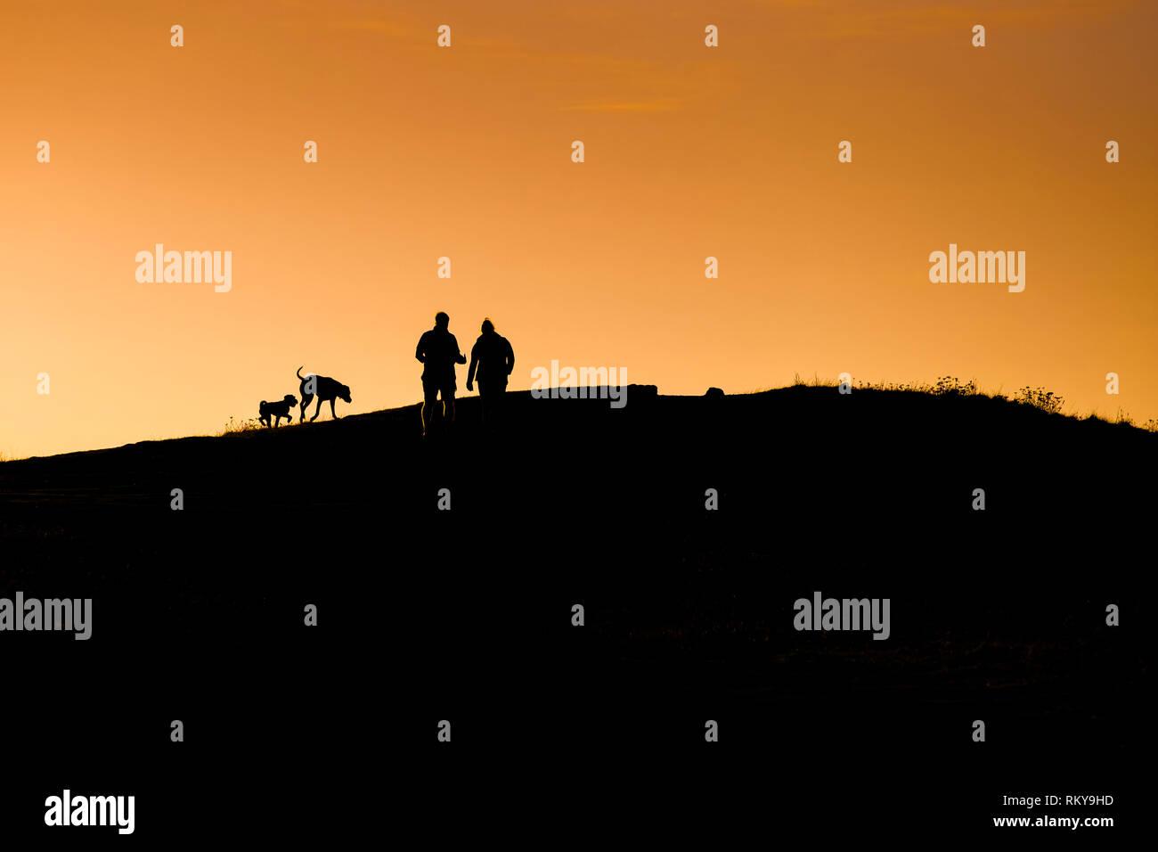 Leute, die ihre Hunde gegen eine intensive Sonnenuntergang über Osten Pentire in Newquay in Cornwall. Stockfoto