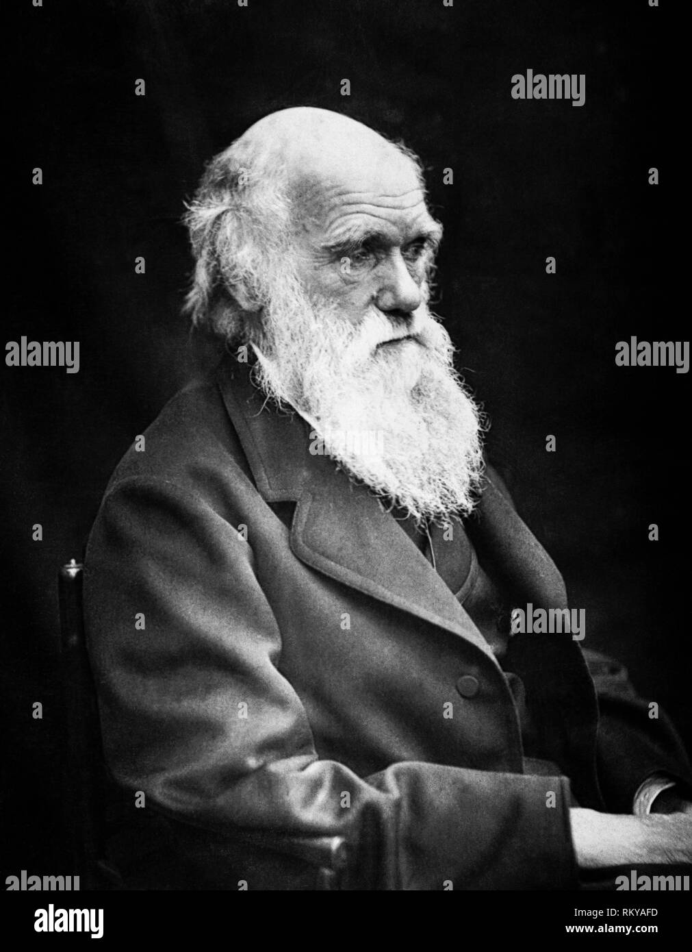 Charles Darwin, (1809-1882), englischer Naturforscher, Geologe und Biologe Portrait, 1869 Stockfoto