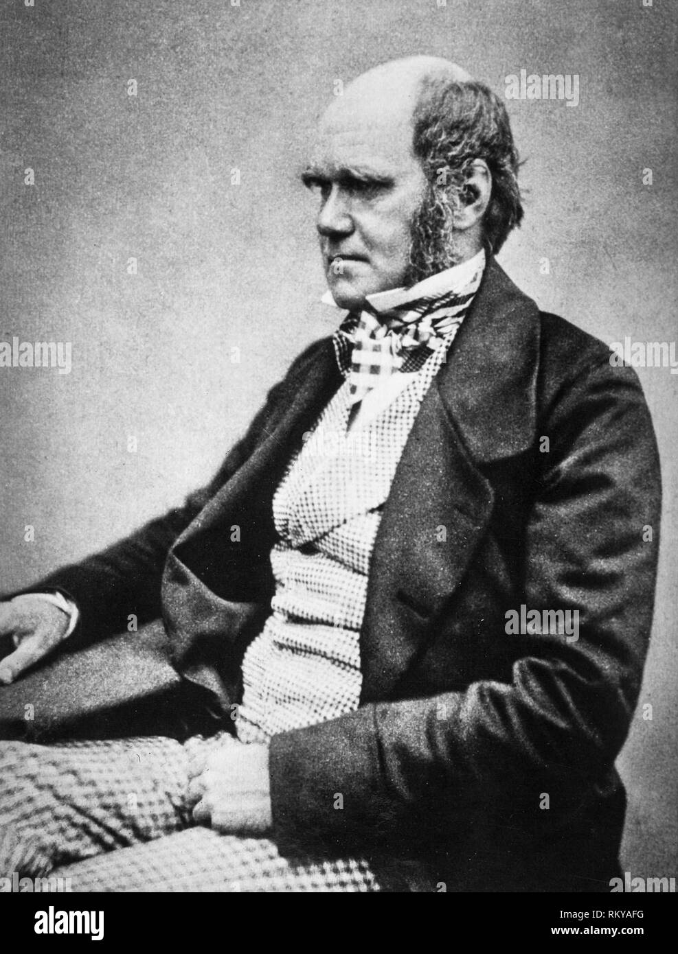 Charles Darwin, (1809-1882), englischer Naturforscher, Geologe und Biologe, Portrait, 1854 Stockfoto