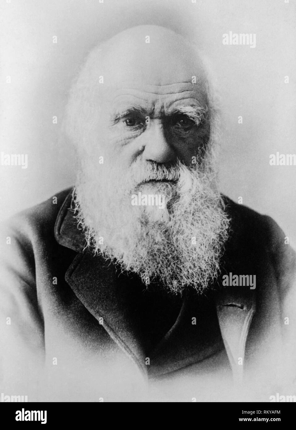 Charles Darwin, (1809-1882), englischer Naturforscher, Geologe und Biologe, Portrait, 1879 Stockfoto