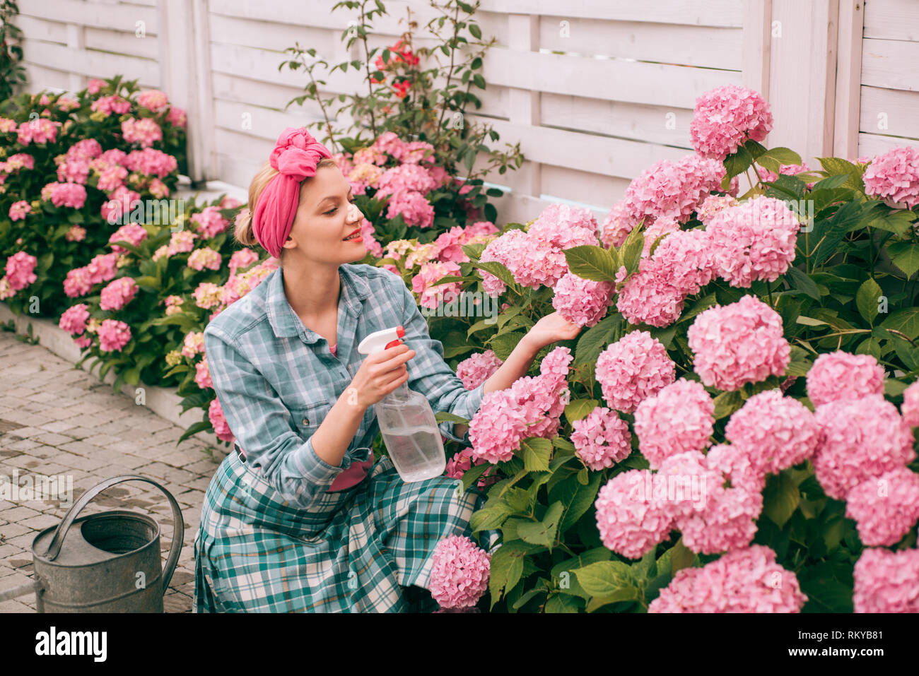Frau Pflege von Blumen im Garten. glckliche Frau Grtner mit Blumen.  Blumen Pflege und Bewsserung. Erden und Dnger. Gewchshaus Blumen.  Hortensie Stockfotografie - Alamy