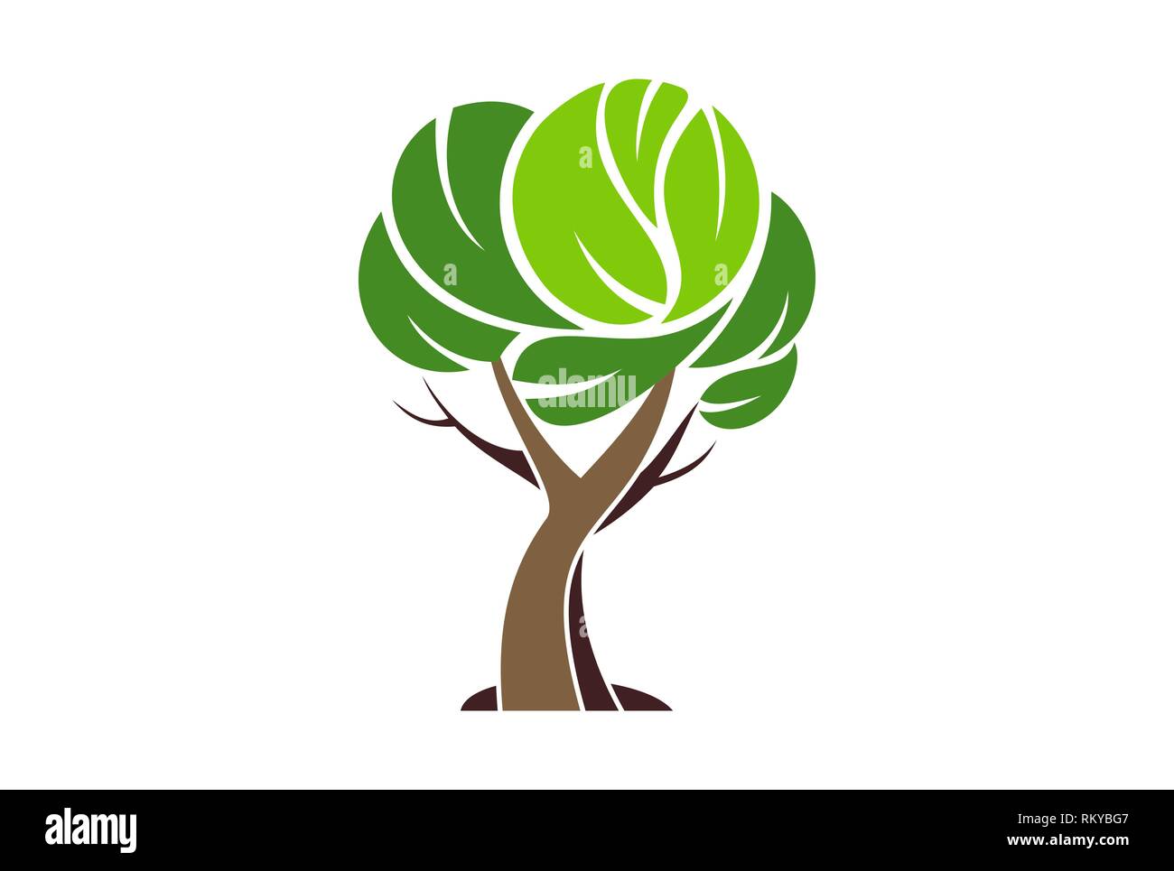 Baum Logo Pflanze Grune Symbol Vektor Konzept Flache Bauweise Stockfotografie Alamy