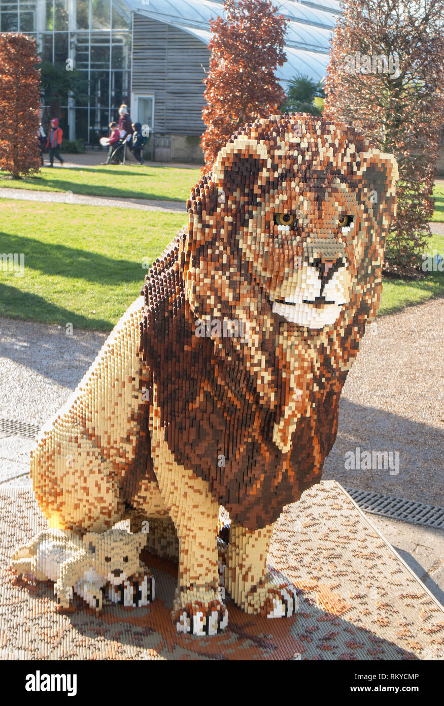 Lebensgroße Lego Modell eines Löwen und Cub in der 'Große Ziegel Safari'  2019 an der RHS Wisley Garden, Surrey Stockfotografie - Alamy