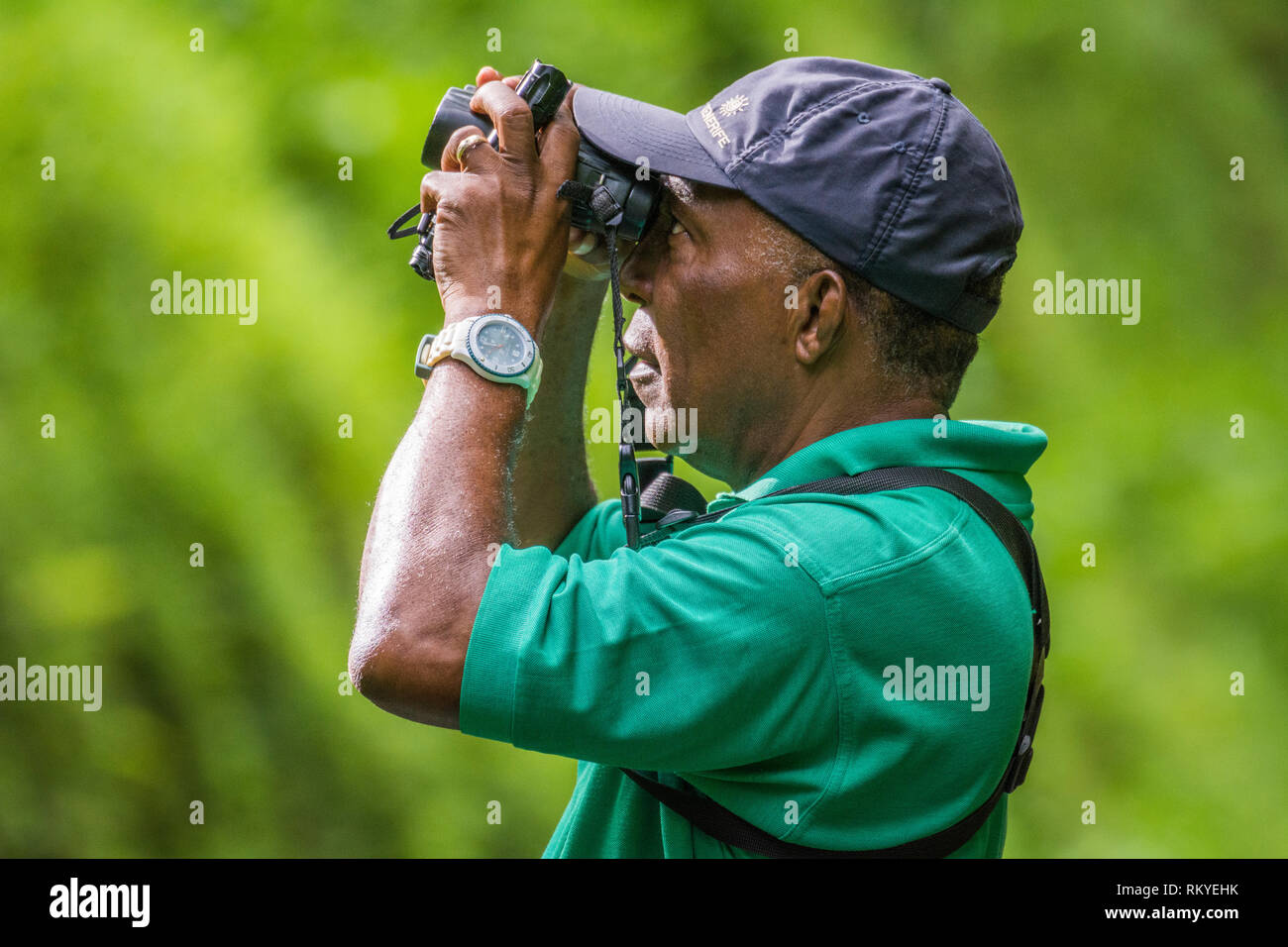 Birding und Natur tour guide Newton George im Tobago Main Ridge Forest Reserve, ein UNESCO-Weltkulturerbe, Trinidad und Tobago. Stockfoto