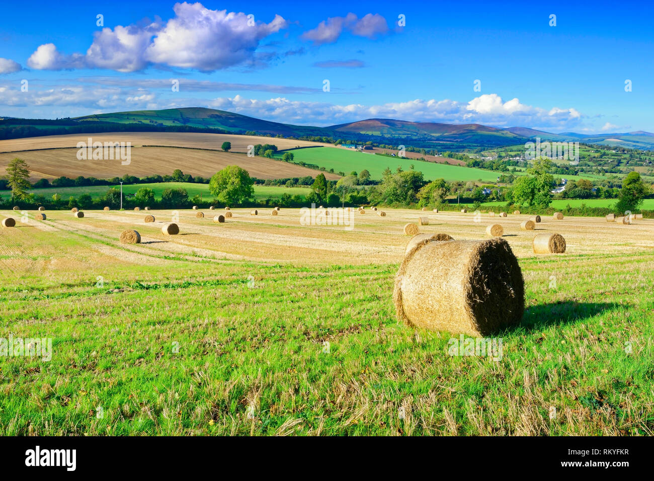 Eine Spätsommer Blick über Ackerland in der Grafschaft Wicklow in Irland. Stockfoto