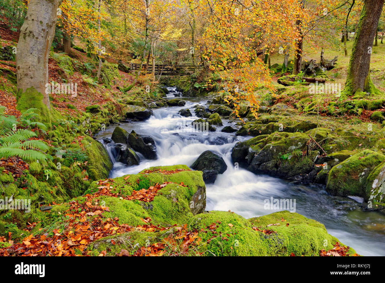 Ein Herbst Blick auf Scandale Beck in der Nähe von Ambleside im englischen Lake District. Stockfoto