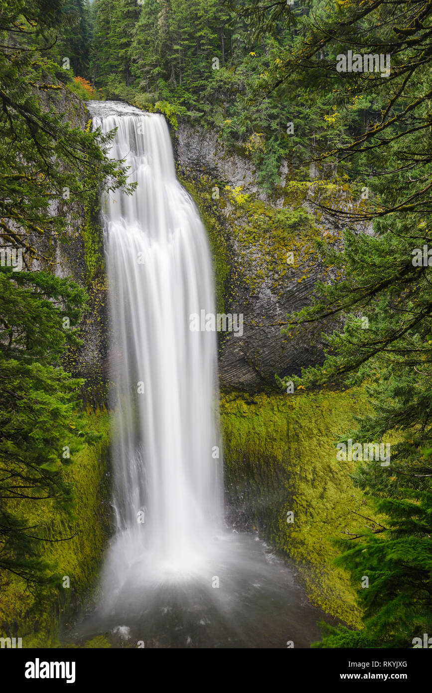 Salt Creek Falls, Willamette National Forest, Oregon. Stockfoto