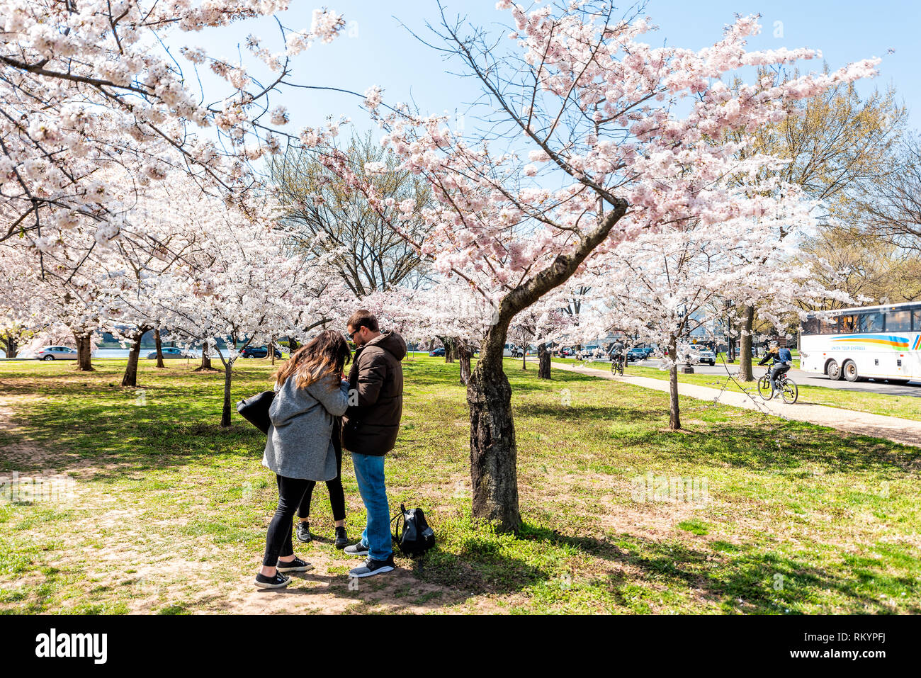 Washington DC, USA - April 5, 2018: Touristen Menschen paar Bilder von Cherry Blossom sakura Bäume im Frühling mit Potomac River durch Ohio Drive o Stockfoto