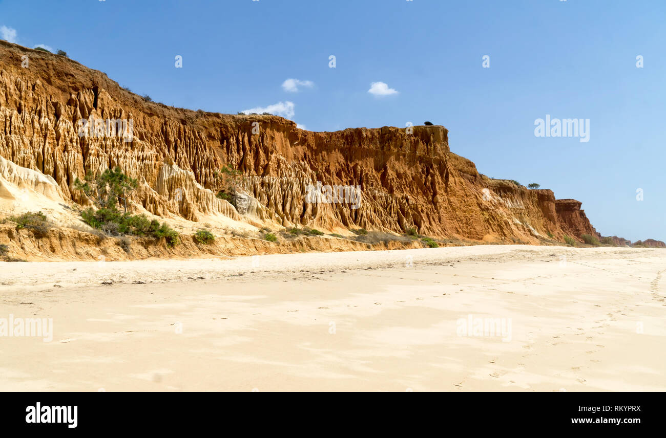 Hohe Klippen entlang den Strand Praia da Falésia und den Atlantik in Albufeira, Algarve, Portugal. Sonnigen Sommertag, blauer Himmel. Stockfoto
