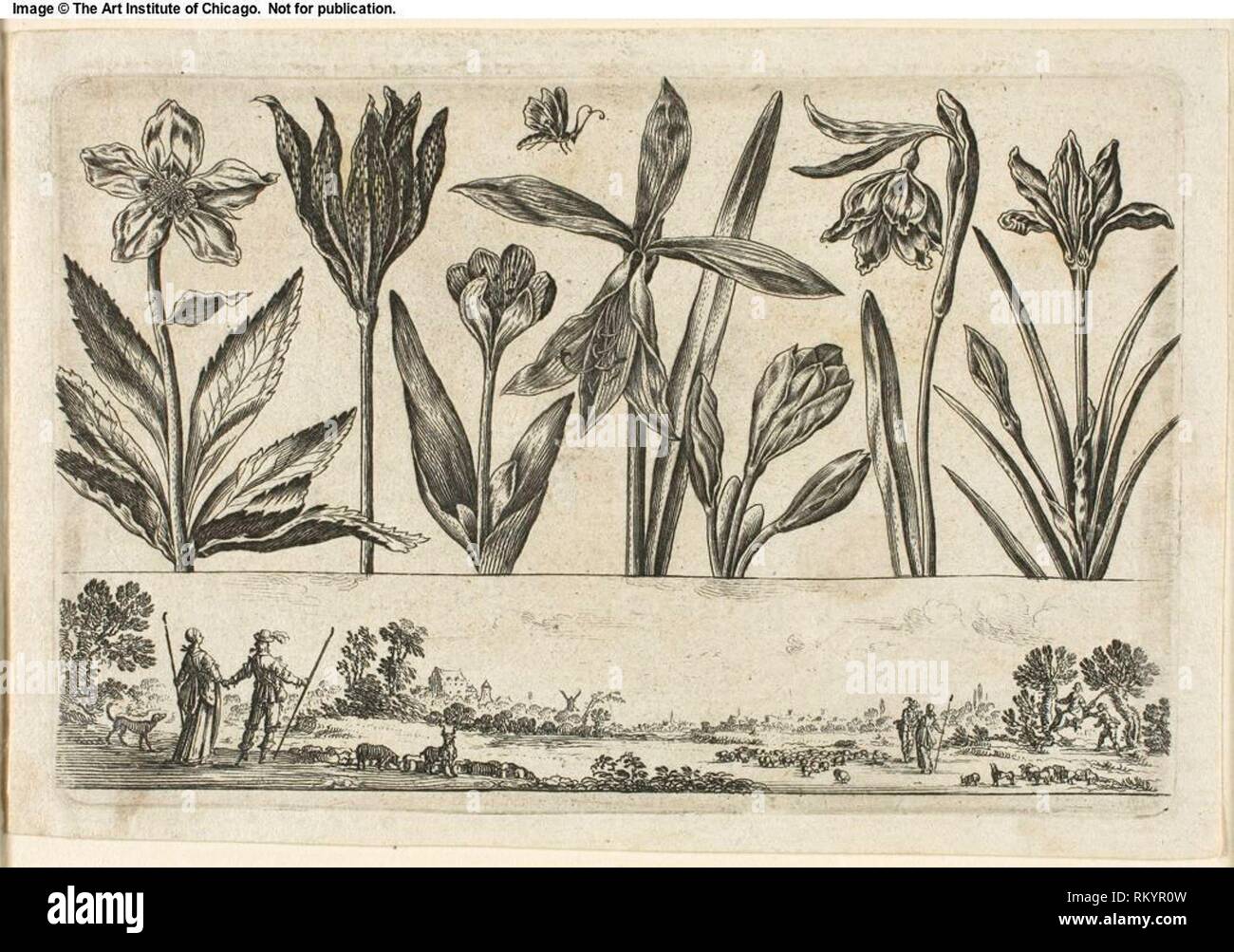 Blumen und Landschaft, von Livre Nouveau de Fleurs Tres-Util - 1645 - Nicolas Cochin (Französisch, 1610-1686) veröffentlicht von Balthasar Moncornet (Französisch, Stockfoto