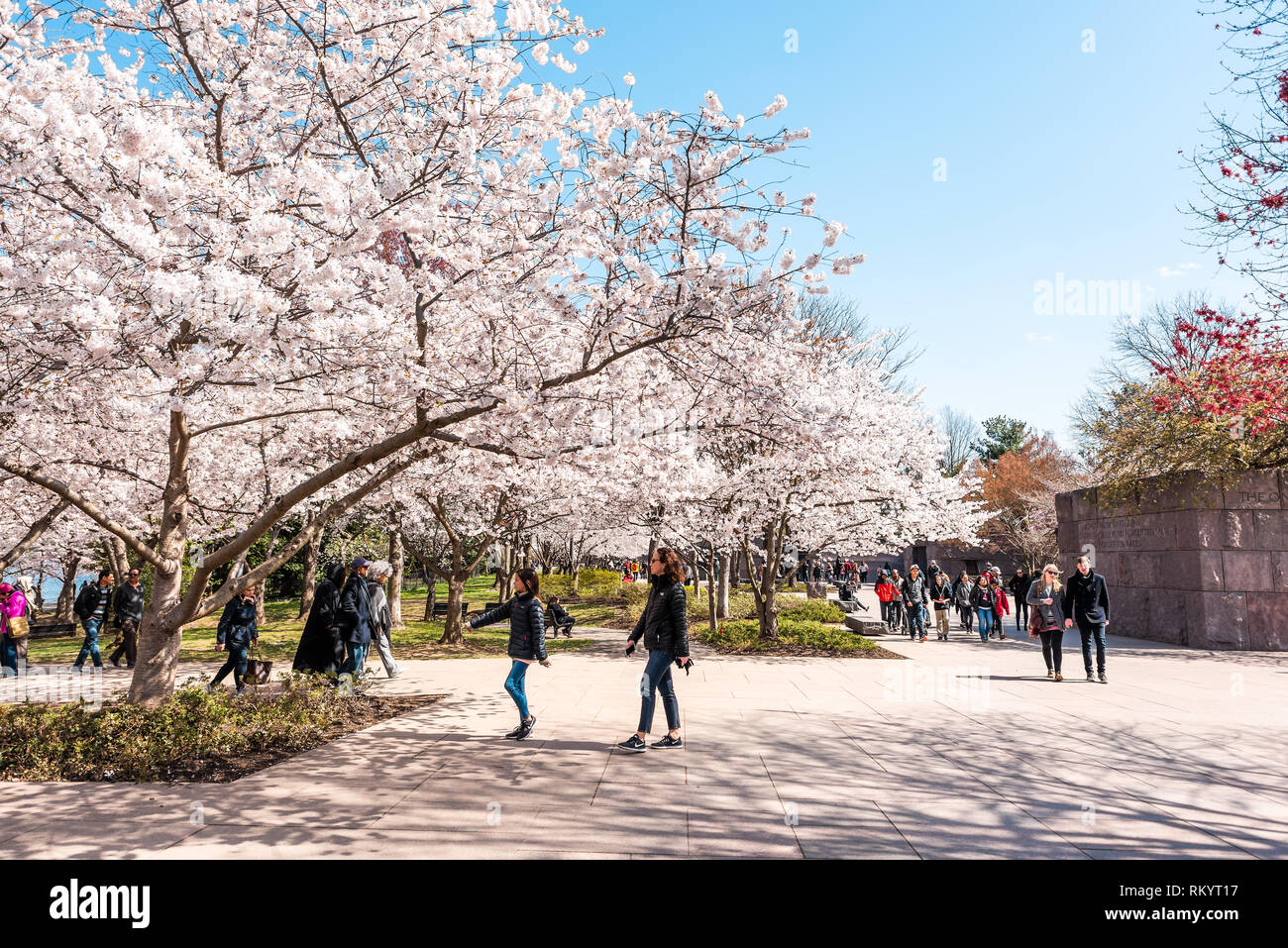 Washington DC, USA - April 5, 2018: die Menschen zu Fuß von Franklin Delano Roosevelt FDR Memorial auf Cherry Blossom sakura Bäume im Frühling während Festival Stockfoto