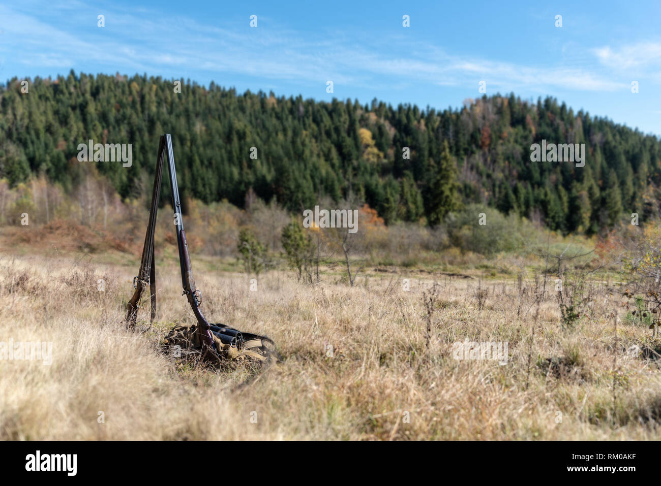 Zwei retro Doppelflinte auf der Lichtung im Wald. Jagd Gang. Draußen Sport Stockfoto