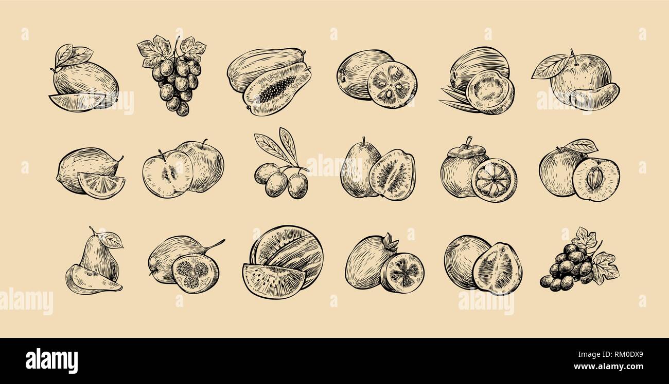 Eingestellt von Früchten. Frische Lebensmittel, gesunde Ernährung Skizze. Hand Vector Illustration gezeichnet Stock Vektor
